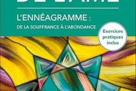 LES 9 PLAIES DE L’ÂME